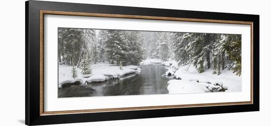 Landscape of Firehole River in forest, Upper Geyser Basin, Yellowstone National Park, Wyoming, USA-Panoramic Images-Framed Photographic Print