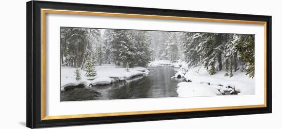 Landscape of Firehole River in forest, Upper Geyser Basin, Yellowstone National Park, Wyoming, USA-Panoramic Images-Framed Photographic Print