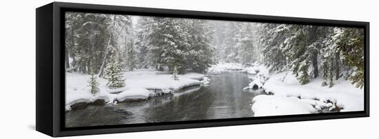 Landscape of Firehole River in forest, Upper Geyser Basin, Yellowstone National Park, Wyoming, USA-Panoramic Images-Framed Premier Image Canvas