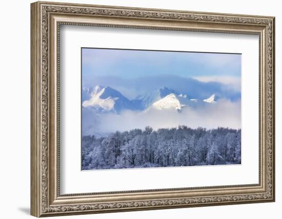 Landscape of forest and snow mountain, Haines, Alaska, USA-Keren Su-Framed Photographic Print