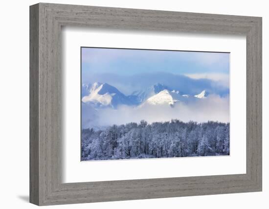 Landscape of forest and snow mountain, Haines, Alaska, USA-Keren Su-Framed Photographic Print