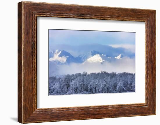 Landscape of forest and snow mountain, Haines, Alaska, USA-Keren Su-Framed Photographic Print