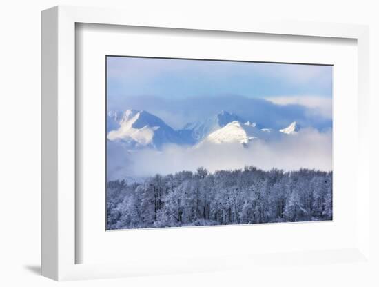 Landscape of forest and snow mountain, Haines, Alaska, USA-Keren Su-Framed Photographic Print