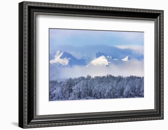 Landscape of forest and snow mountain, Haines, Alaska, USA-Keren Su-Framed Photographic Print