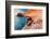 Landscape of island coastline, Sea of Cortez, Mexico-Claudio Contreras-Framed Photographic Print