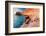 Landscape of island coastline, Sea of Cortez, Mexico-Claudio Contreras-Framed Photographic Print