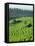 Landscape of Lush Green Rice Terraces on Bali, Indonesia, Southeast Asia-Alain Evrard-Framed Premier Image Canvas
