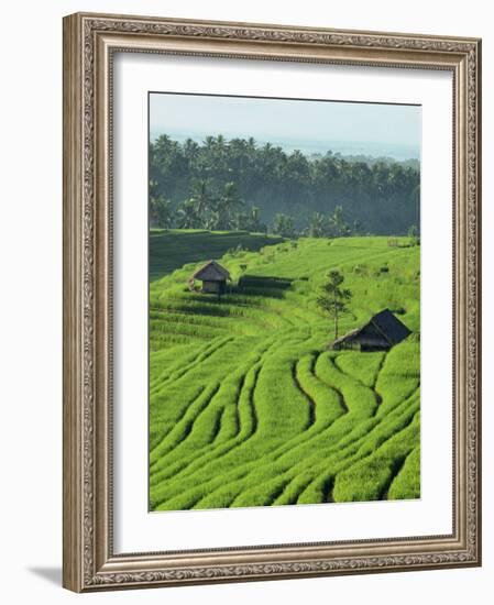 Landscape of Lush Green Rice Terraces on Bali, Indonesia, Southeast Asia-Alain Evrard-Framed Photographic Print