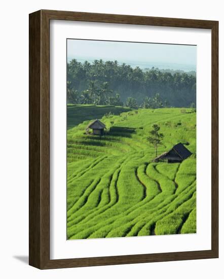 Landscape of Lush Green Rice Terraces on Bali, Indonesia, Southeast Asia-Alain Evrard-Framed Photographic Print