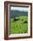 Landscape of Lush Green Rice Terraces on Bali, Indonesia, Southeast Asia-Alain Evrard-Framed Photographic Print