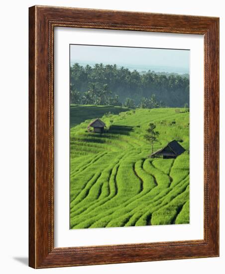 Landscape of Lush Green Rice Terraces on Bali, Indonesia, Southeast Asia-Alain Evrard-Framed Photographic Print