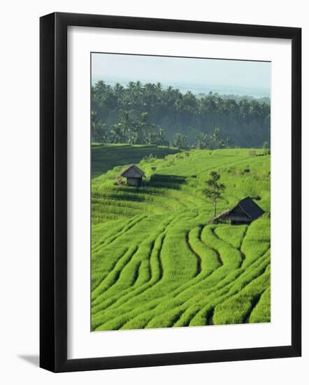 Landscape of Lush Green Rice Terraces on Bali, Indonesia, Southeast Asia-Alain Evrard-Framed Photographic Print