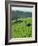 Landscape of Lush Green Rice Terraces on Bali, Indonesia, Southeast Asia-Alain Evrard-Framed Photographic Print