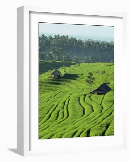 Landscape of Lush Green Rice Terraces on Bali, Indonesia, Southeast Asia-Alain Evrard-Framed Photographic Print