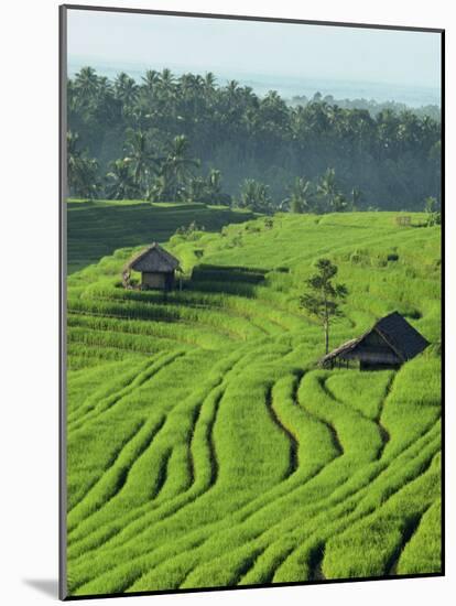 Landscape of Lush Green Rice Terraces on Bali, Indonesia, Southeast Asia-Alain Evrard-Mounted Photographic Print