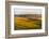 Landscape of rolling wheat field at sunrise, Palouse, Washington State, USA-Keren Su-Framed Photographic Print