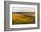 Landscape of rolling wheat field at sunrise, Palouse, Washington State, USA-Keren Su-Framed Photographic Print