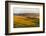 Landscape of rolling wheat field at sunrise, Palouse, Washington State, USA-Keren Su-Framed Photographic Print