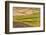 Landscape of rolling wheat field, Palouse, Washington State, USA-Keren Su-Framed Photographic Print