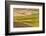 Landscape of rolling wheat field, Palouse, Washington State, USA-Keren Su-Framed Photographic Print