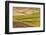 Landscape of rolling wheat field, Palouse, Washington State, USA-Keren Su-Framed Photographic Print