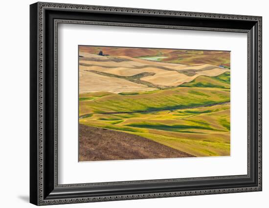 Landscape of rolling wheat field, Palouse, Washington State, USA-Keren Su-Framed Photographic Print