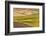 Landscape of rolling wheat field, Palouse, Washington State, USA-Keren Su-Framed Photographic Print