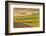 Landscape of rolling wheat field, Palouse, Washington State, USA-Keren Su-Framed Photographic Print