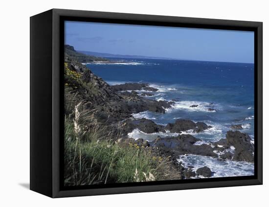 Landscape of Rugged Rocky Coastline Along the Great Ocean Road, Victoria, Australia-Richard Nebesky-Framed Premier Image Canvas