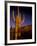 Landscape of Saguaro National Monument, Arizona, USA-Art Wolfe-Framed Photographic Print