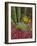 Landscape of Saguaro National Monument, Arizona, USA-Art Wolfe-Framed Photographic Print