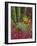 Landscape of Saguaro National Monument, Arizona, USA-Art Wolfe-Framed Photographic Print