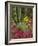 Landscape of Saguaro National Monument, Arizona, USA-Art Wolfe-Framed Photographic Print