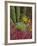 Landscape of Saguaro National Monument, Arizona, USA-Art Wolfe-Framed Photographic Print