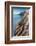 Landscape of San Jose Island coastline, Sea of Cortez, Mexico-Claudio Contreras-Framed Photographic Print