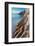 Landscape of San Jose Island coastline, Sea of Cortez, Mexico-Claudio Contreras-Framed Photographic Print