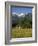 Landscape of Snow Capped Peaks Above Flower Covered Valley, Salzburgland, Austria-Richard Nebesky-Framed Photographic Print