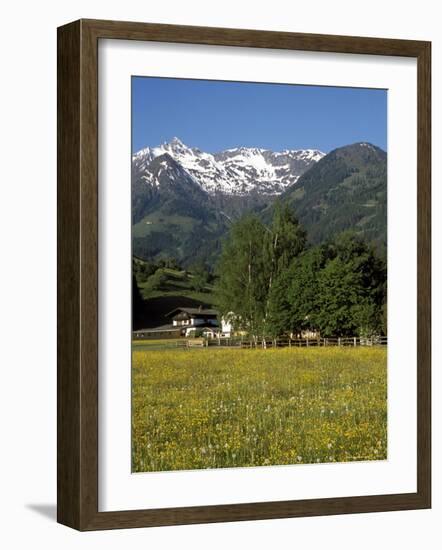 Landscape of Snow Capped Peaks Above Flower Covered Valley, Salzburgland, Austria-Richard Nebesky-Framed Photographic Print