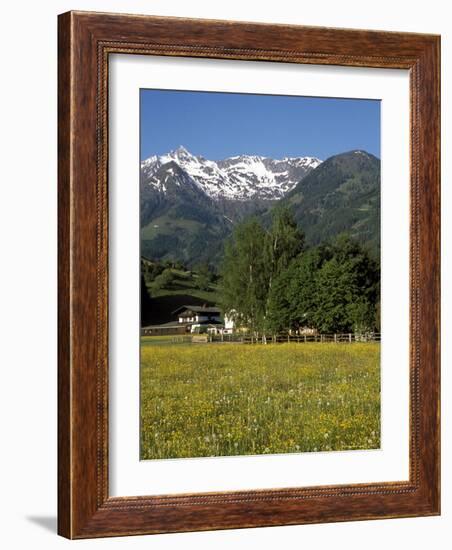 Landscape of Snow Capped Peaks Above Flower Covered Valley, Salzburgland, Austria-Richard Nebesky-Framed Photographic Print