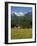 Landscape of Snow Capped Peaks Above Flower Covered Valley, Salzburgland, Austria-Richard Nebesky-Framed Photographic Print