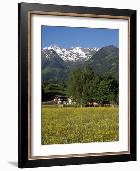 Landscape of Snow Capped Peaks Above Flower Covered Valley, Salzburgland, Austria-Richard Nebesky-Framed Photographic Print