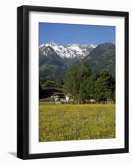 Landscape of Snow Capped Peaks Above Flower Covered Valley, Salzburgland, Austria-Richard Nebesky-Framed Photographic Print