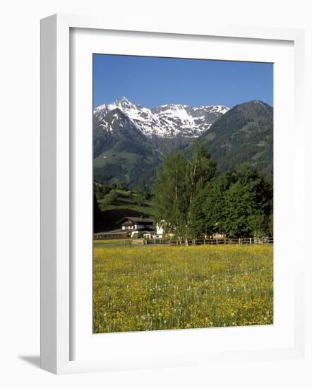 Landscape of Snow Capped Peaks Above Flower Covered Valley, Salzburgland, Austria-Richard Nebesky-Framed Photographic Print