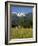 Landscape of Snow Capped Peaks Above Flower Covered Valley, Salzburgland, Austria-Richard Nebesky-Framed Photographic Print