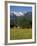 Landscape of Snow Capped Peaks Above Flower Covered Valley, Salzburgland, Austria-Richard Nebesky-Framed Photographic Print