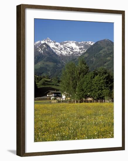 Landscape of Snow Capped Peaks Above Flower Covered Valley, Salzburgland, Austria-Richard Nebesky-Framed Photographic Print