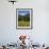 Landscape of Snow Capped Peaks Above Flower Covered Valley, Salzburgland, Austria-Richard Nebesky-Framed Photographic Print displayed on a wall