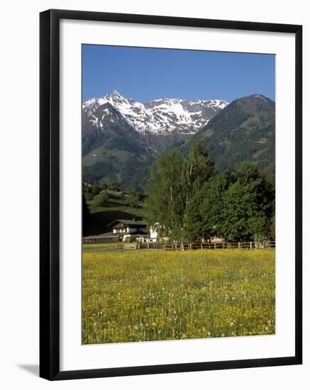 Landscape of Snow Capped Peaks Above Flower Covered Valley, Salzburgland, Austria-Richard Nebesky-Framed Photographic Print