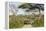 Landscape of the African Savanna with Safari Vehicle, Tanzania-James Heupel-Framed Premier Image Canvas