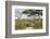 Landscape of the African Savanna with Safari Vehicle, Tanzania-James Heupel-Framed Photographic Print